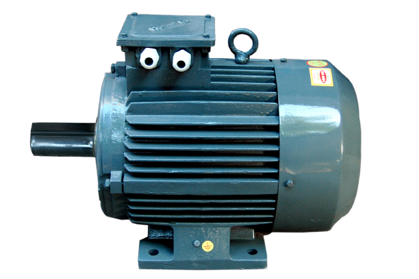 Two Speed Electric Motor